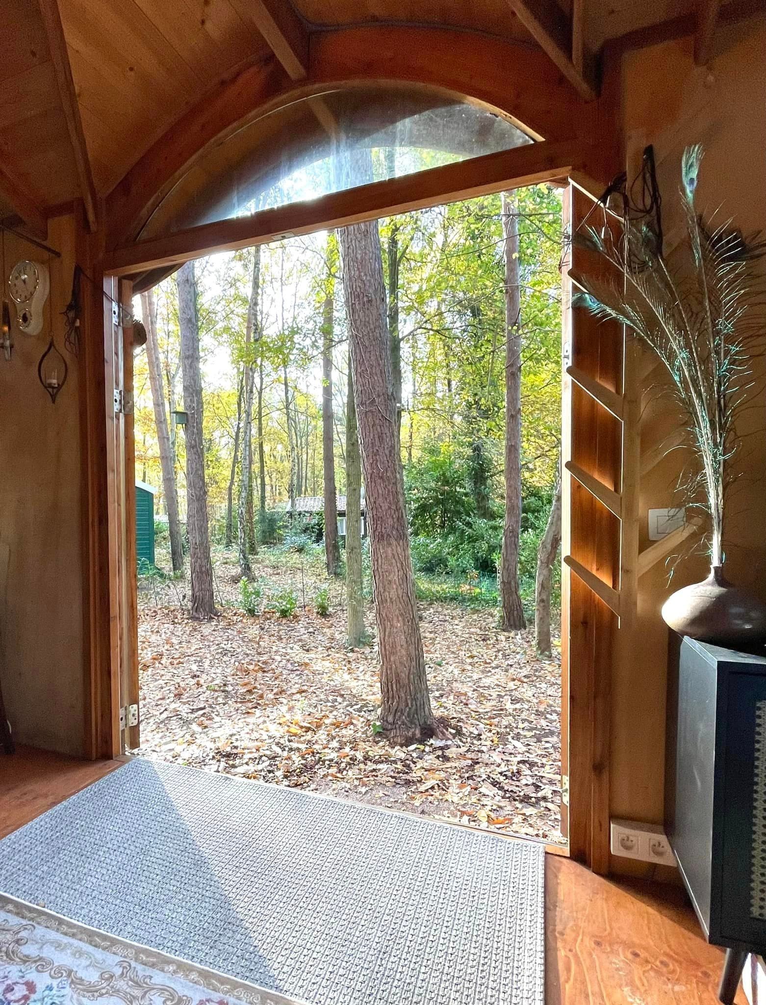 Uitzicht vanuit pipowagen op het bos