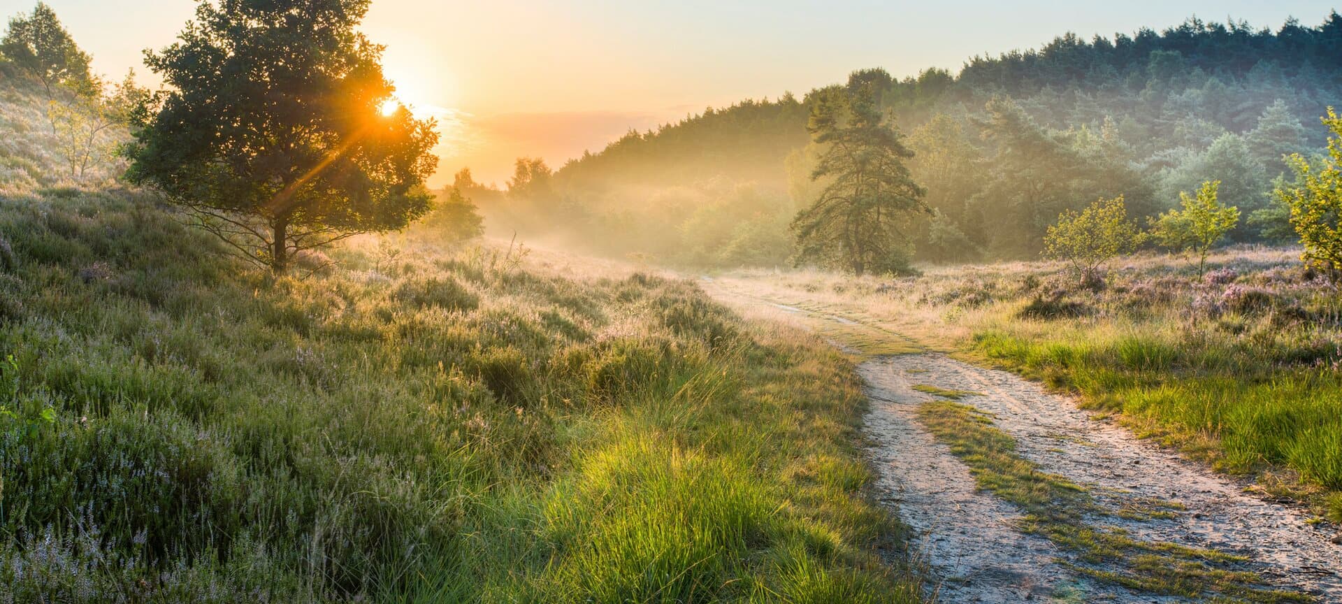 Wandelen in de Hoge Kempen